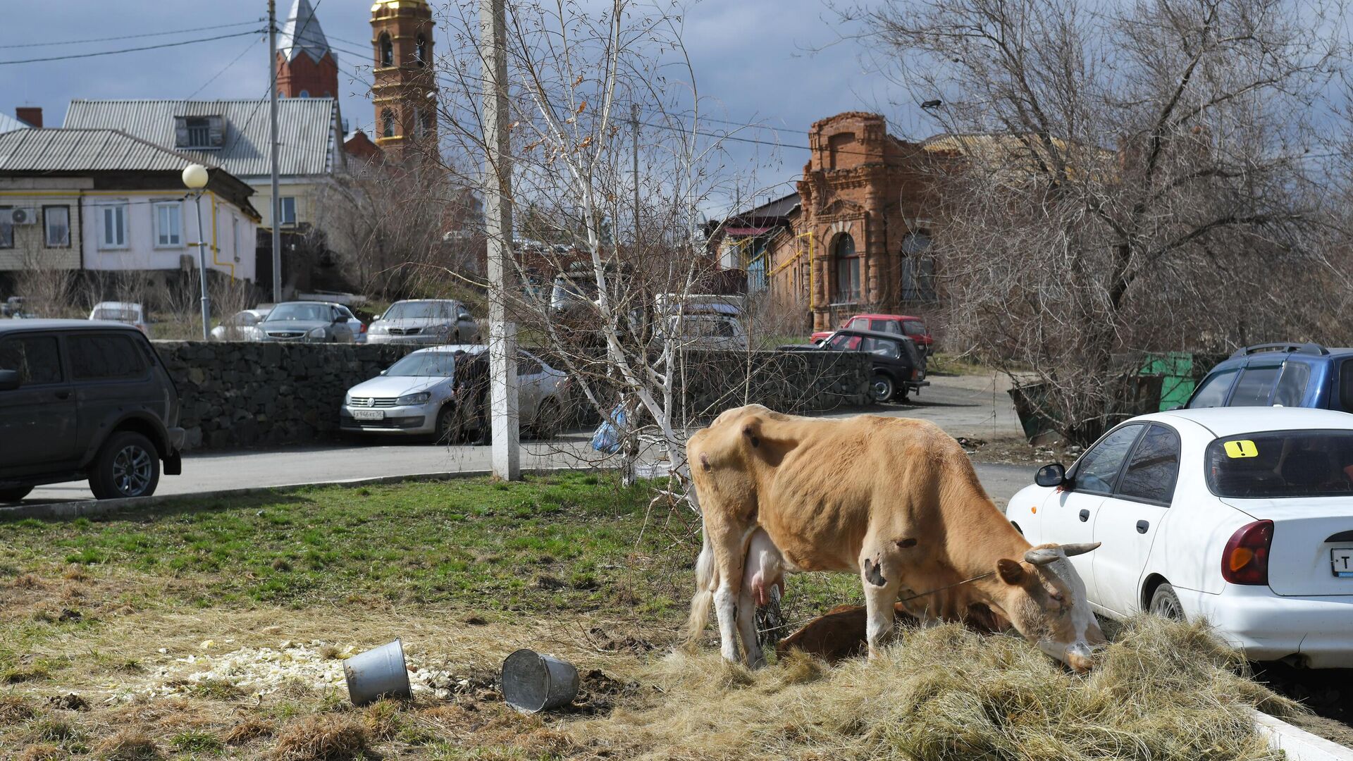 Уровень воды в реке Ишим под Тюменью за четыре часа вырос на 60 сантиметров  - РИА Новости, 19.04.2024