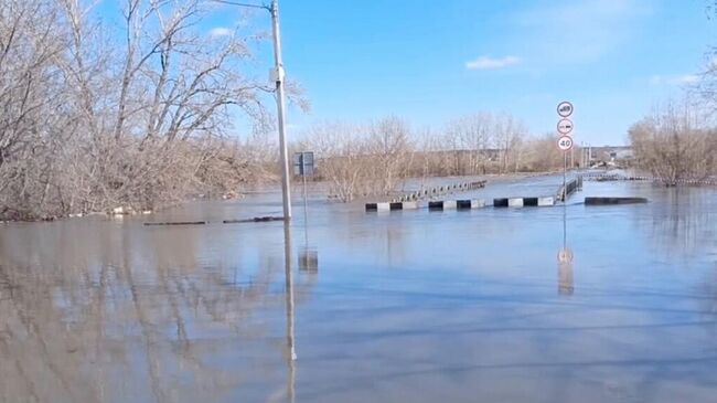 Мост в микрорайоне Малое Чаусово в Кургане