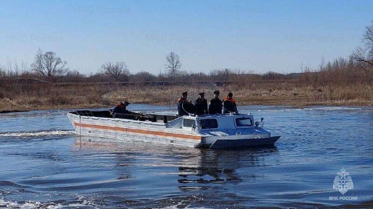 В Тюменской области могут увеличить высоту дамб вдоль трассы на Омск - РИА  Новости, 15.04.2024