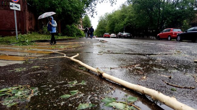 Сломанное ураганом дерево на улице Москвы