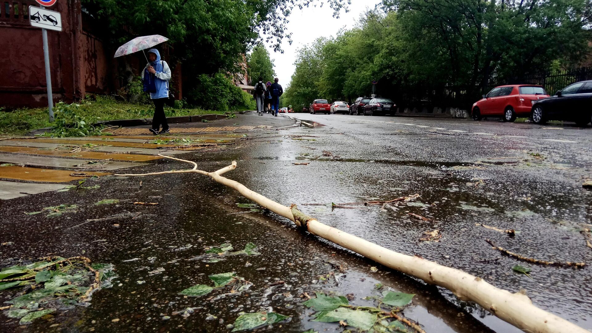 В Москве два человека пострадали при падении деревьев - РИА Новости,  06.07.2024