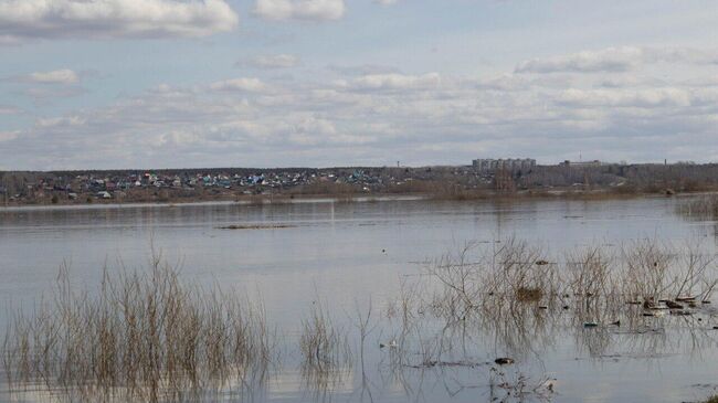 Разлив реки Тобол в Курганской области