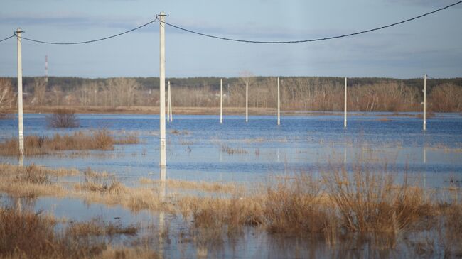 Разлив реки Тобол в районе микрорайона Старокомогоровка в Кургане