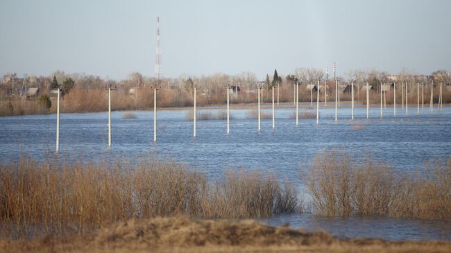 Разлив реки Тобол в районе в Кургане