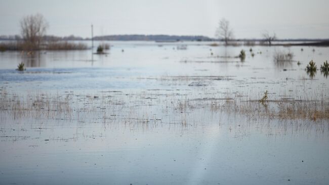 Разлив реки Тобол в районе микрорайона Старокомогоровка в Кургане