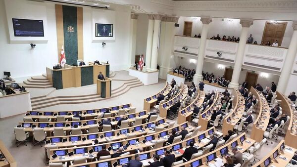 Пленарное заседание парламента Грузии. Архивное фото