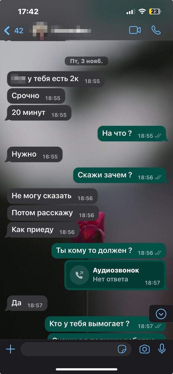 Переписка Елизаветы с племянником