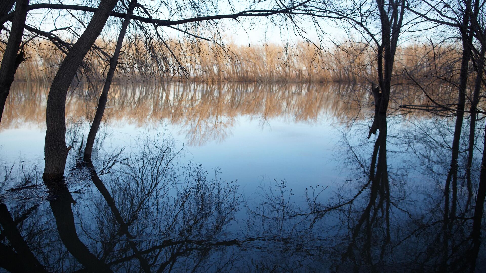 Половодье - РИА Новости, 1920, 09.03.2025