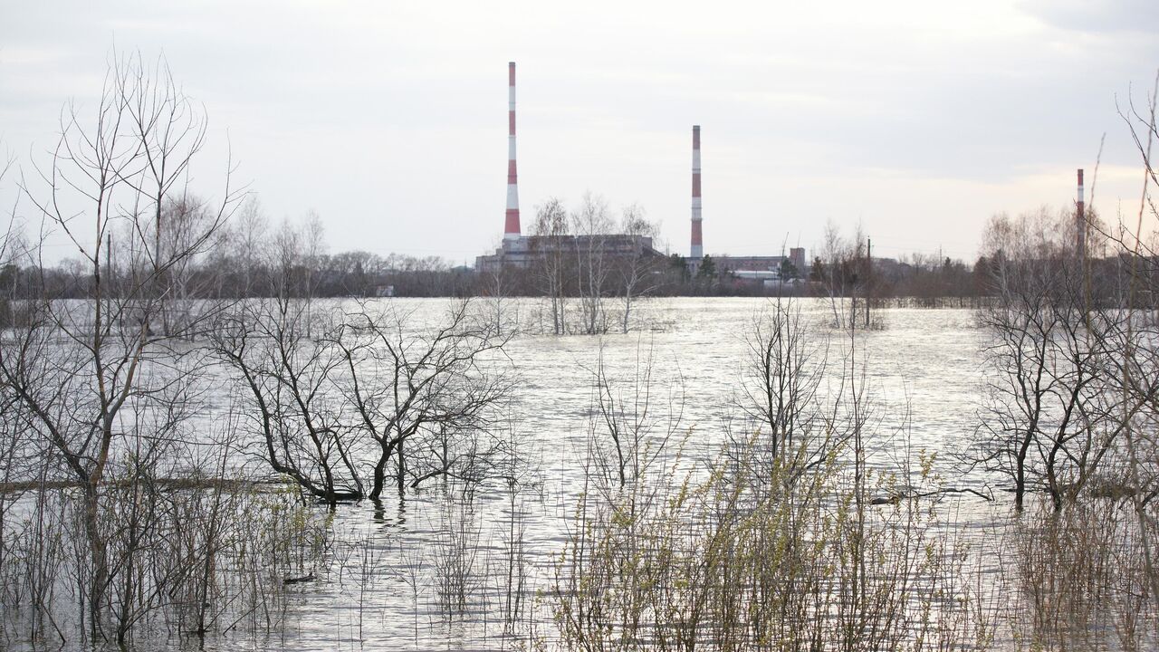 В Курганской области подтоплены 534 жилых дома - РИА Новости, 05.05.2024