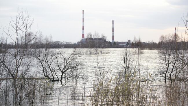 Паводок в Курганской области