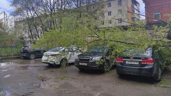 Падение деревьев из-за сильного ветра в Калуге. 19 апреля 2024
