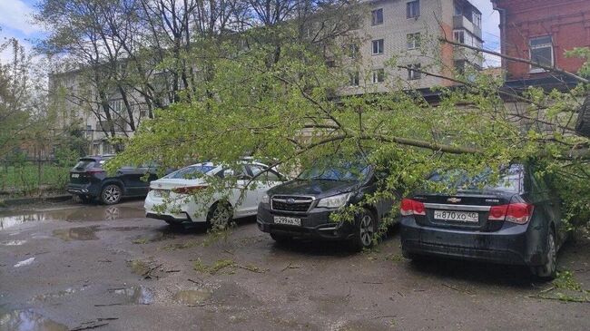 Падение деревьев из-за сильного ветра в Калуге. 19 апреля 2024