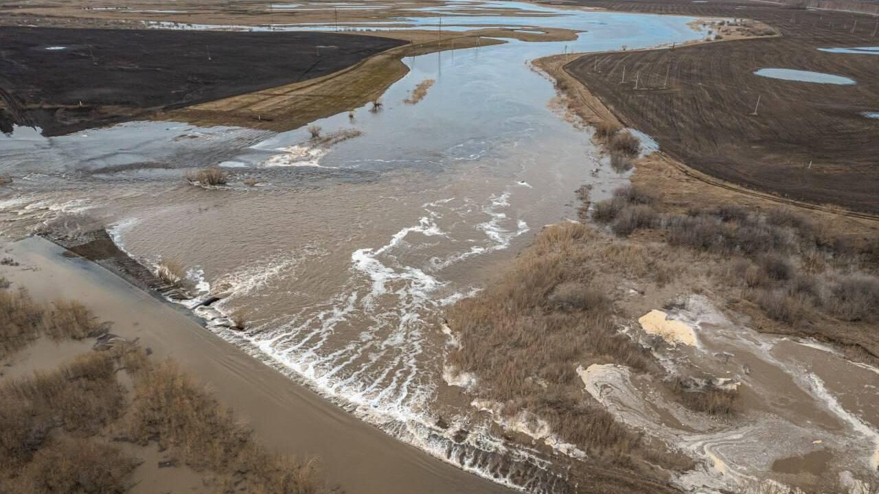 Реверсивное движение на трассе Тюмень – Омск сохранится до снижения воды -  РИА Новости, 30.04.2024