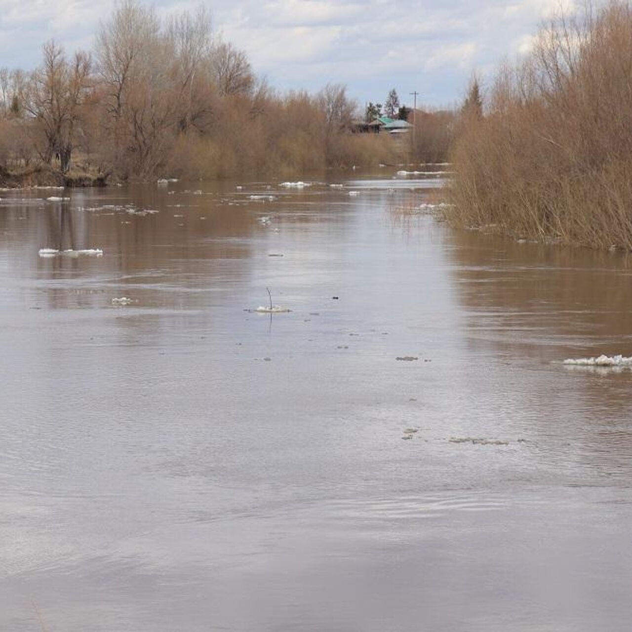 Уровень воды в реке Тобол в Ялуторовске поднялся на 14 сантиметров - РИА  Новости, 10.05.2024