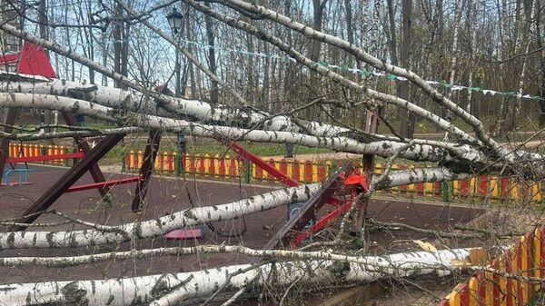 Дерево упало на девочку на детской площадке в Красногорске Московской области