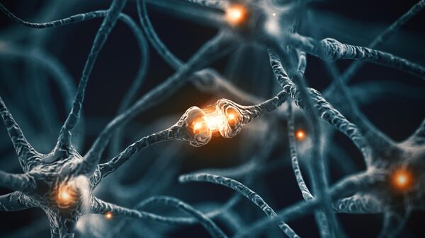 Место контакта между двумя нейронами