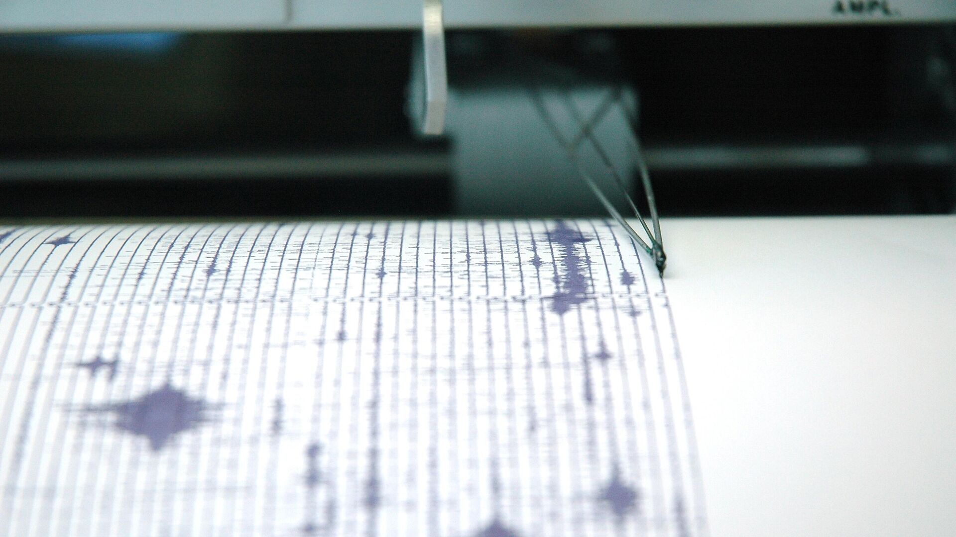 У побережья Курил произошло землетрясение магнитудой 4,5