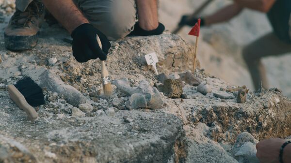 Археологи работают на раскопе 