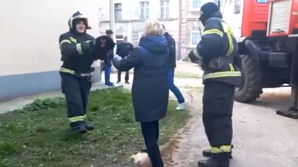 Спасатели возвращают женщине беременную кошку
