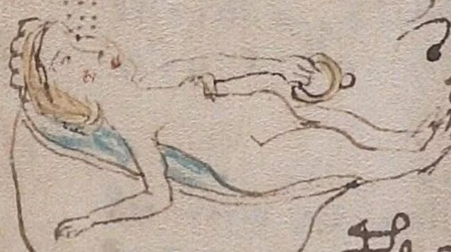 Иллюстрация из манускрипта Войнича