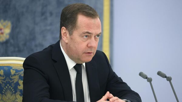 Заместитель председателя Совета безопасности РФ, председатель партии Единая Россия Дмитрий Медведев