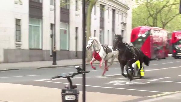 Сбежавшие лошади королевской конной гвардии в Лондоне