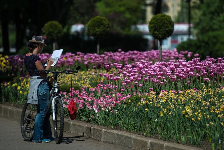 Цветение тюльпанов в Парке Горького в Москве