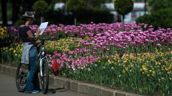 Цветение тюльпанов в Парке Горького в Москве