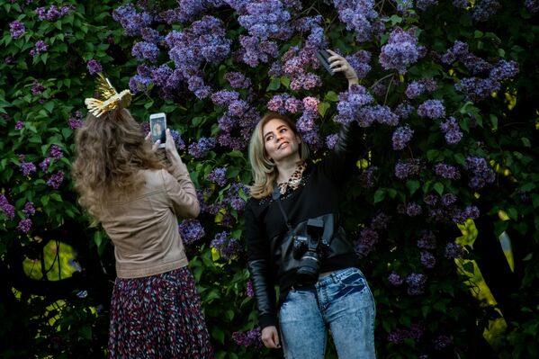 Девушки фотографируются возле сирени в Сиреневом саду в Москве