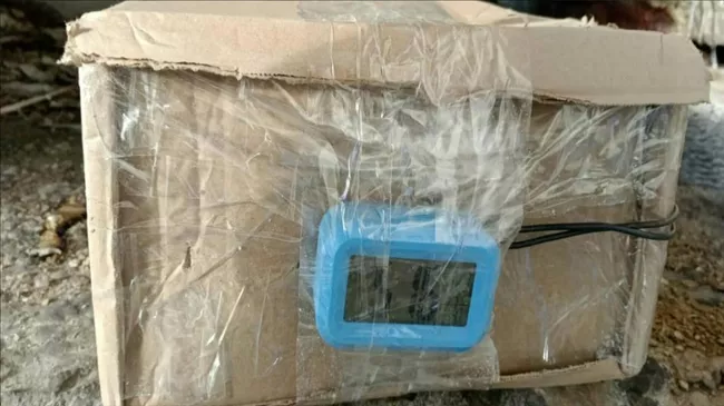 Задержанные сотрудники частных организаций, заложившие муляжи бомб под мосты