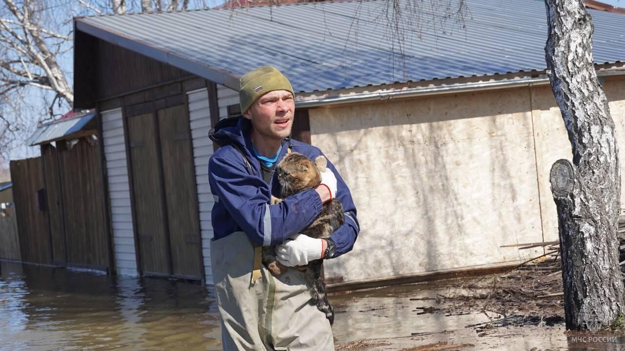 Сотрудник МЧС России спасает домашнее животное в Тюменской области - РИА Новости, 1920, 26.04.2024