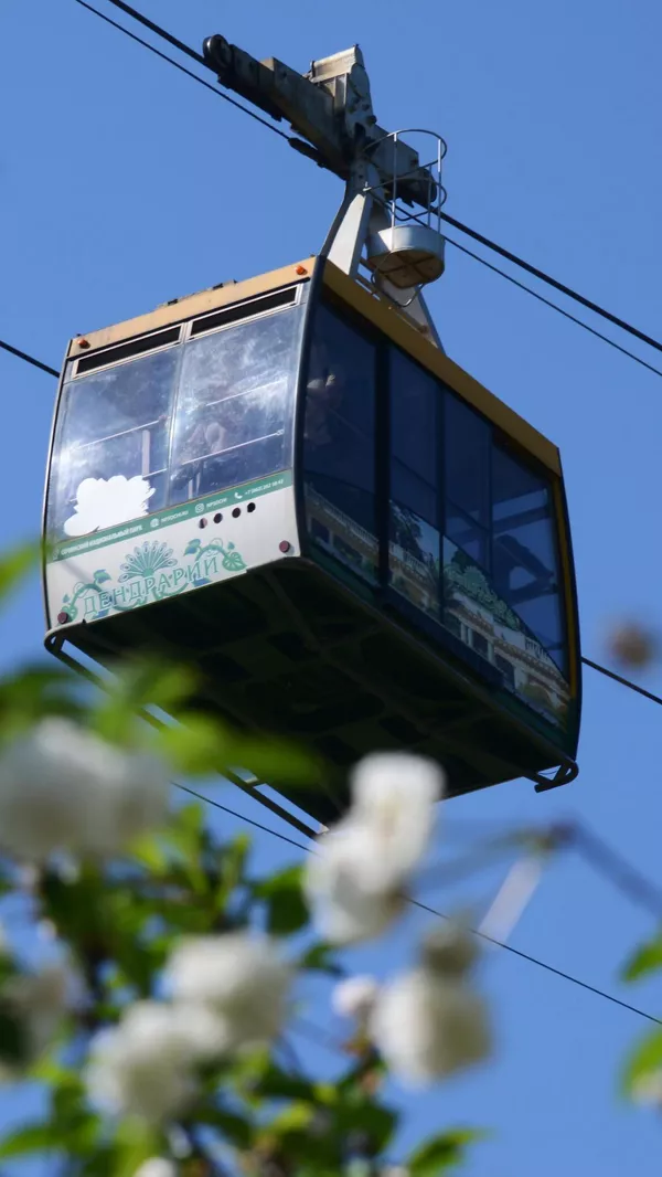 ソチの樹木園公園のケーブルカー。