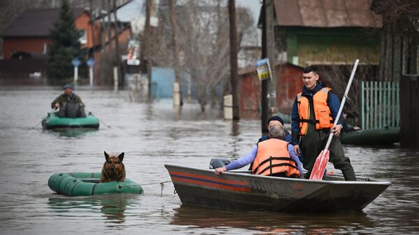 Эвакуация домашних животных с затопленных улиц в микрорайоне Кузнечный в Оренбурге