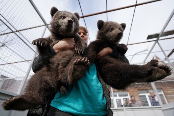 Смотритель держит на руках медвежат в вольере Мариупольского зоопарка. Медвежата родились в Мариуполе 25 января