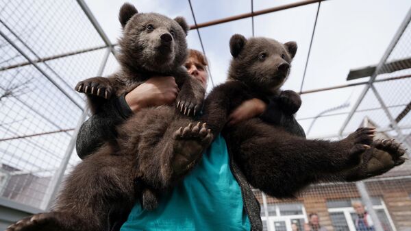 Смотритель держит на руках медвежат в вольере Мариупольского зоопарка. Медвежата родились в Мариуполе 25 января