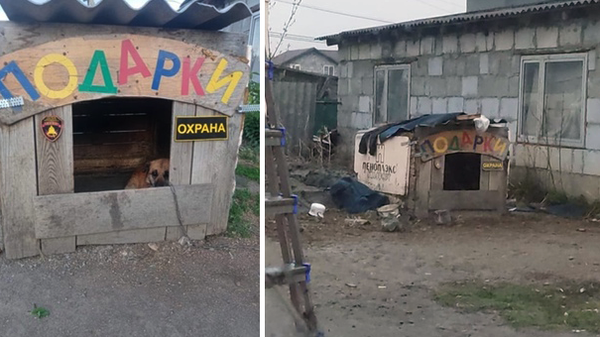 В Свердловской области мужчина спрятался от сотрудников ГУ ФСИН в будке собаки