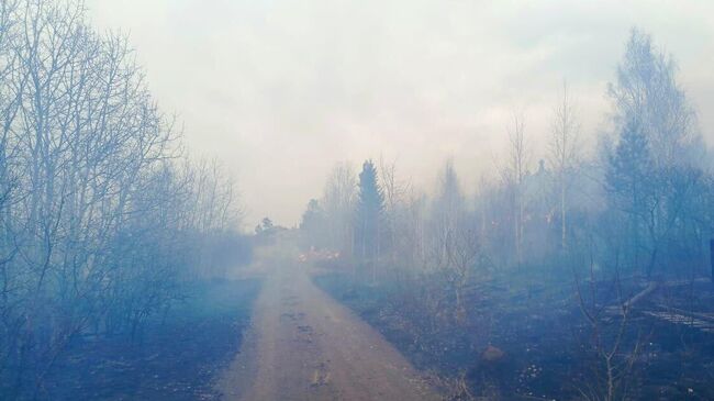 Пожар в садовых товариществах в Братске