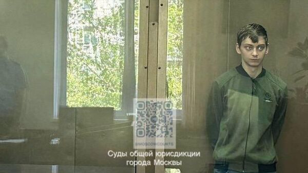 Хамидулин Станислав Денисович, обвиняемый по делу о поджоге вертолета в аэропорту Остафьево в Дорогомиловском суде города Москвы. 30 апреля 2024