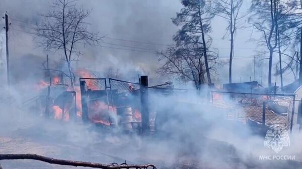 Место пожара в садовом товариществе в Читинском районе в Забайкалье. 1 мая 2024