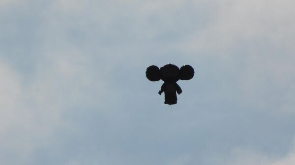 Воздушный шар в форме Чебурашки в Нижне-Свирском заповеднике
