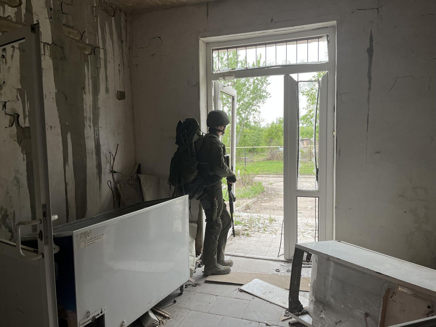 Лютик пережидает, пока в небе кружит дрон Лютик пережидает, пока в небе кружит дрон