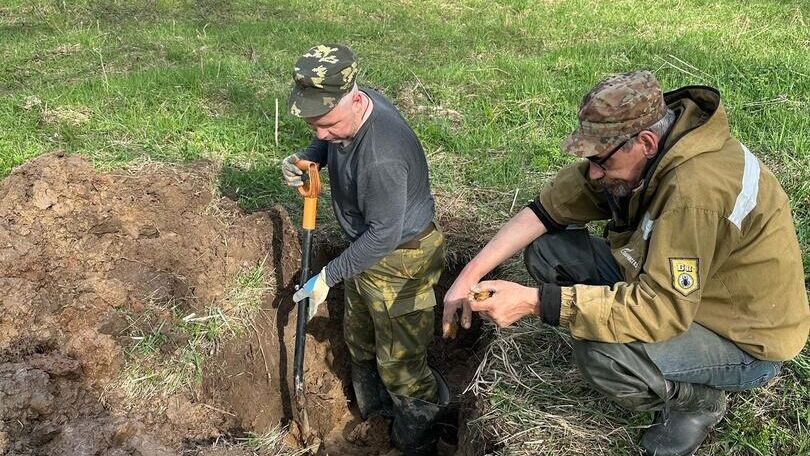 Поисковая экспедиция в Новгородской области нашла более 300 останков красноармейцев - РИА Новости, 1920, 02.05.2024