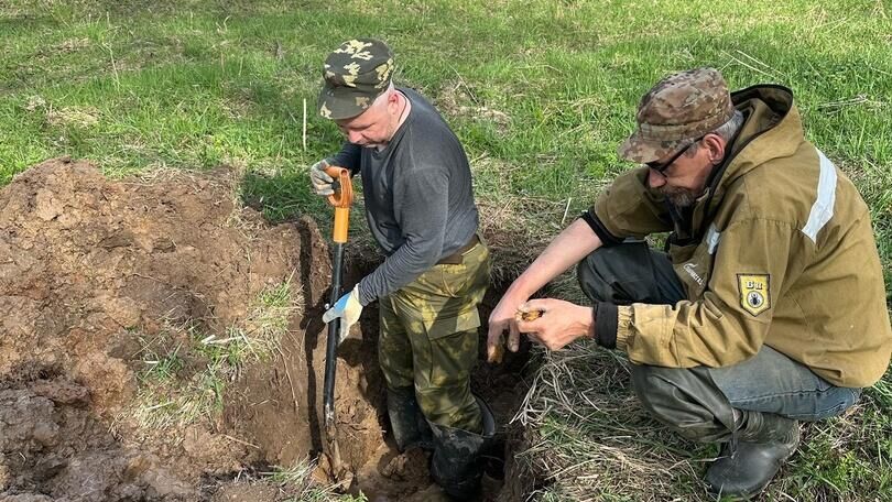 Поисковая экспедиция в Новгородской области нашла более 300 останков красноармейцев - РИА Новости, 1920, 02.05.2024