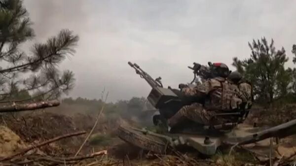 Уничтожение ударного беспилотника Warmate над Херсонской областью