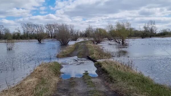 Разлив реки Тобол в городе Ялуторовске Тюменской области. Кадр видео