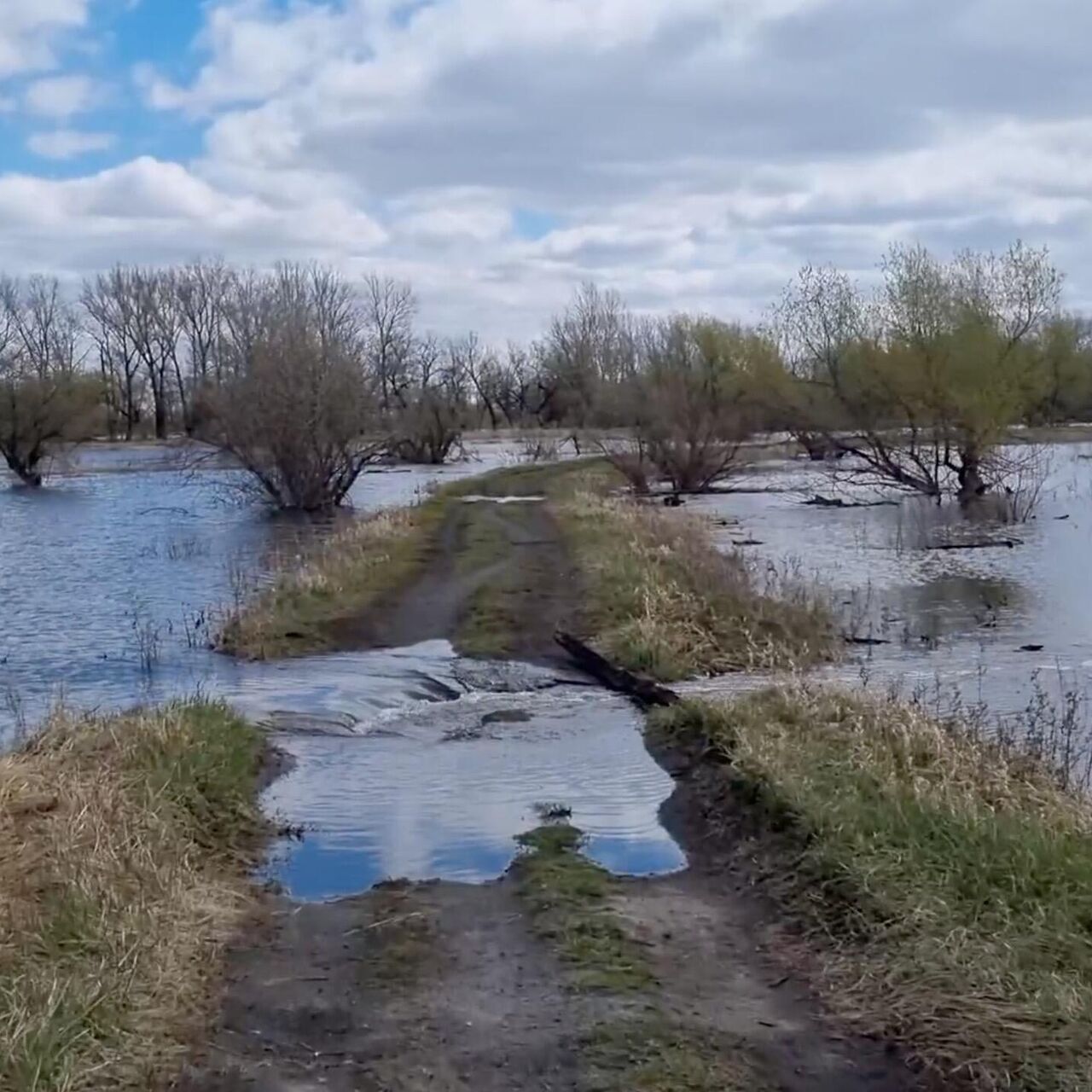 Уровень воды в реке Тобол у Ялуторовска за сутки поднялся на 18 сантиметров  - РИА Новости, 08.05.2024