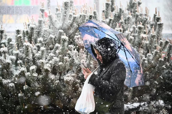 モスクワの雪