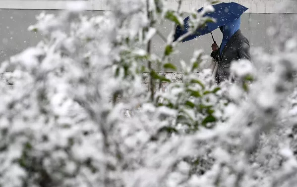 モスクワの雪