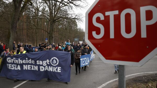 Демонстранты во время протеста против плана расширения завода по производству электромобилей Tesla в Грюнхайде