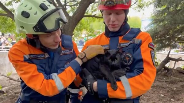 Уличного кота спасли из вольера с волками в Московском зоопарке